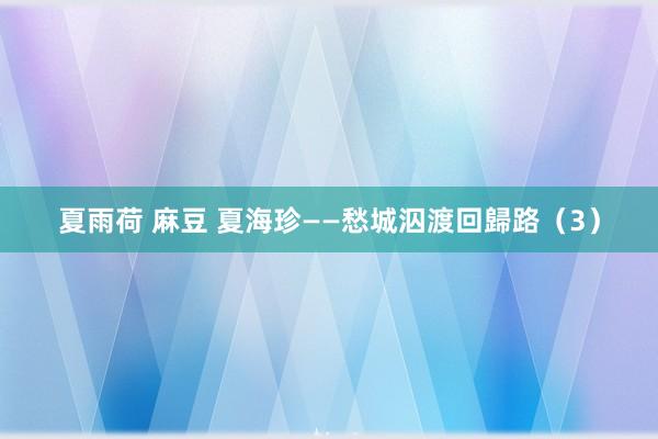 夏雨荷 麻豆 夏海珍——愁城泅渡回歸路（3）