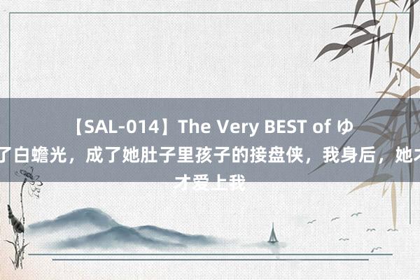 【SAL-014】The Very BEST of ゆか 我娶了白蟾光，成了她肚子里孩子的接盘侠，我身后，她才爱上我