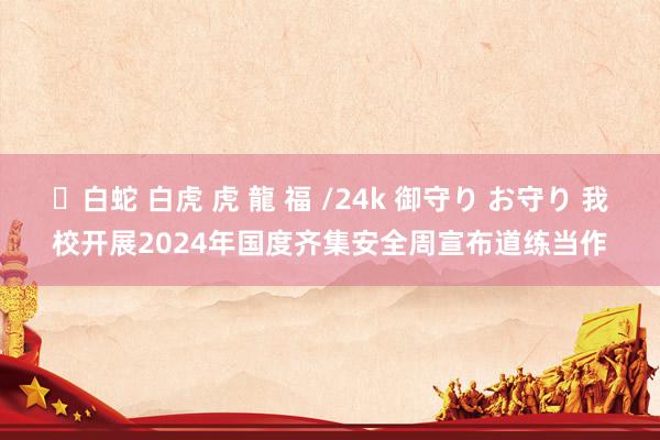 ✨白蛇 白虎 虎 龍 福 /24k 御守り お守り 我校开展2024年国度齐集安全周宣布道练当作