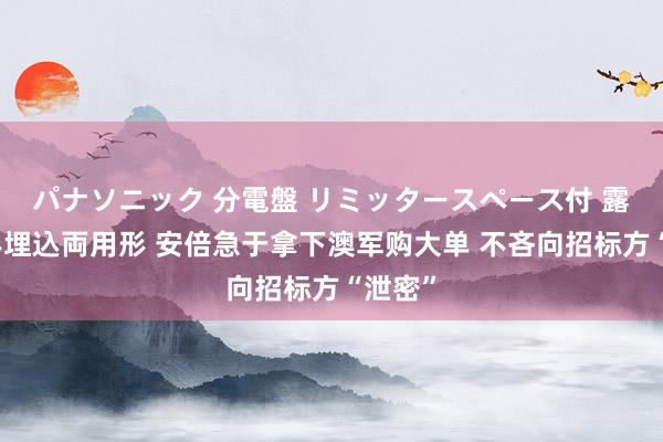 パナソニック 分電盤 リミッタースペース付 露出・半埋込両用形 安倍急于拿下澳军购大单 不吝向招标方“泄密”