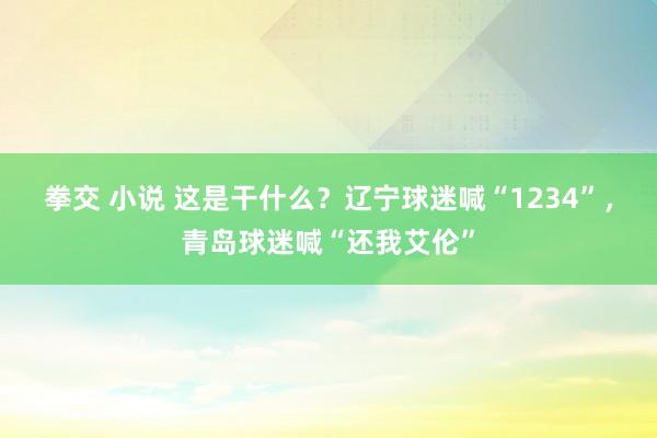 拳交 小说 这是干什么？辽宁球迷喊“1234”，青岛球迷喊“还我艾伦”