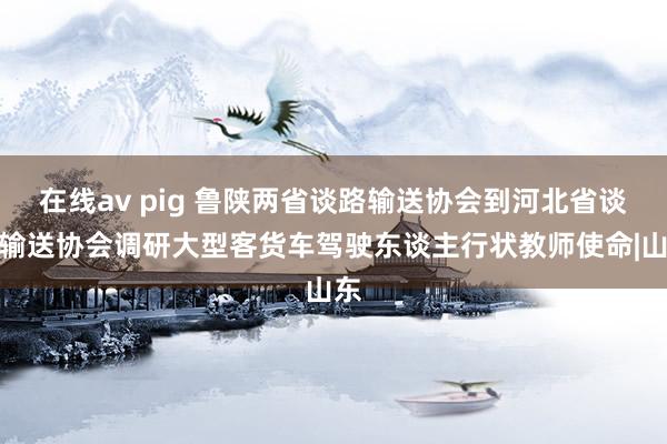 在线av pig 鲁陕两省谈路输送协会到河北省谈路输送协会调研大型客货车驾驶东谈主行状教师使命|山东