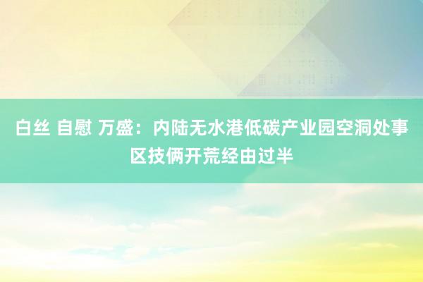 白丝 自慰 万盛：内陆无水港低碳产业园空洞处事区技俩开荒经由过半