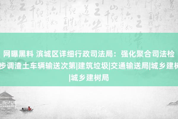 网曝黑料 滨城区详细行政司法局：强化聚合司法检查 步调渣土车辆输送次第|建筑垃圾|交通输送局|城乡建树局