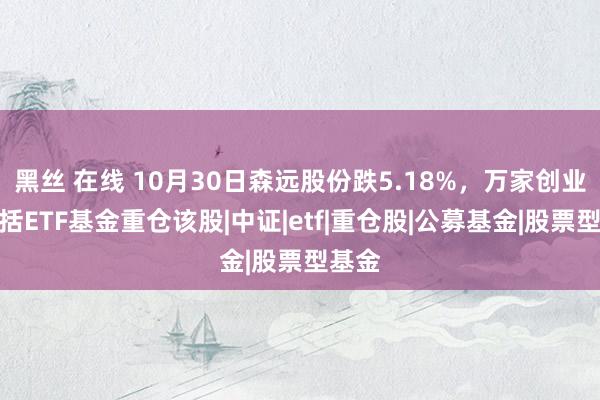 黑丝 在线 10月30日森远股份跌5.18%，万家创业板概括ETF基金重仓该股|中证|etf|重仓股|公募基金|股票型基金