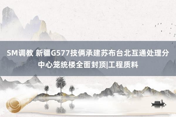 SM调教 新疆G577技俩承建苏布台北互通处理分中心笼统楼全面封顶|工程质料