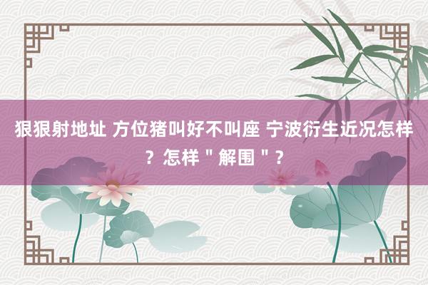 狠狠射地址 方位猪叫好不叫座 宁波衍生近况怎样？怎样＂解围＂？