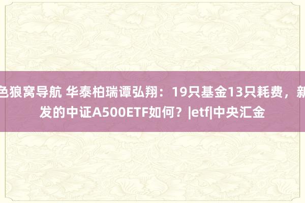 色狼窝导航 华泰柏瑞谭弘翔：19只基金13只耗费，新发的中证A500ETF如何？|etf|中央汇金