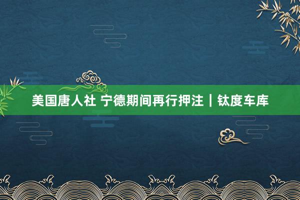 美国唐人社 宁德期间再行押注｜钛度车库