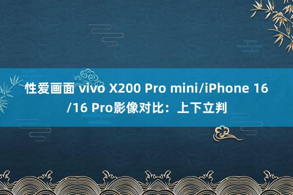 性爱画面 vivo X200 Pro mini/iPhone 16/16 Pro影像对比：上下立判