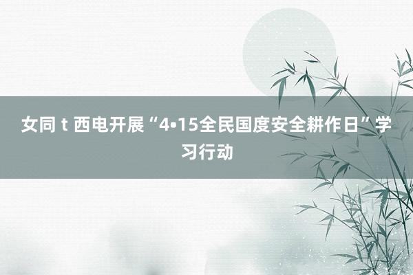 女同 t 西电开展“4•15全民国度安全耕作日”学习行动