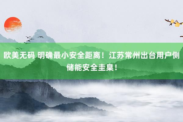 欧美无码 明确最小安全距离！江苏常州出台用户侧储能安全圭臬！